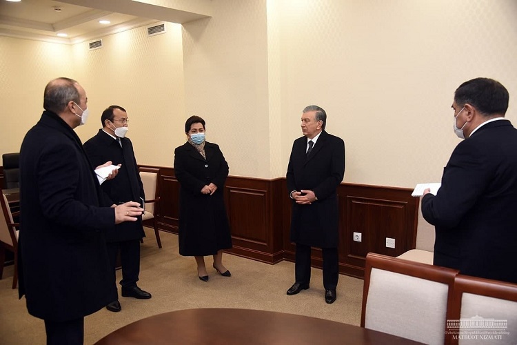 The Head of the state inspected the new Senate building under construction