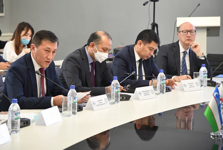 IICAS held a roundtable discussion on prospects for practical cooperation with Central Asian countries