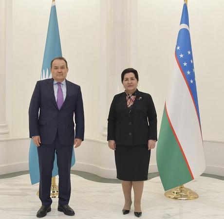 Chairperson of the Senate receives the Secretary General of the Turkic Council