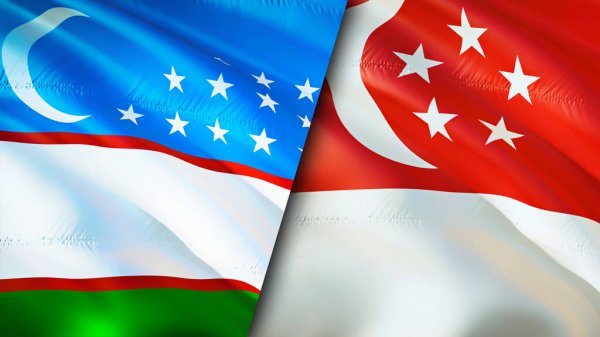 Uzbekistan, Singapore discuss prospects for building up economic cooperation