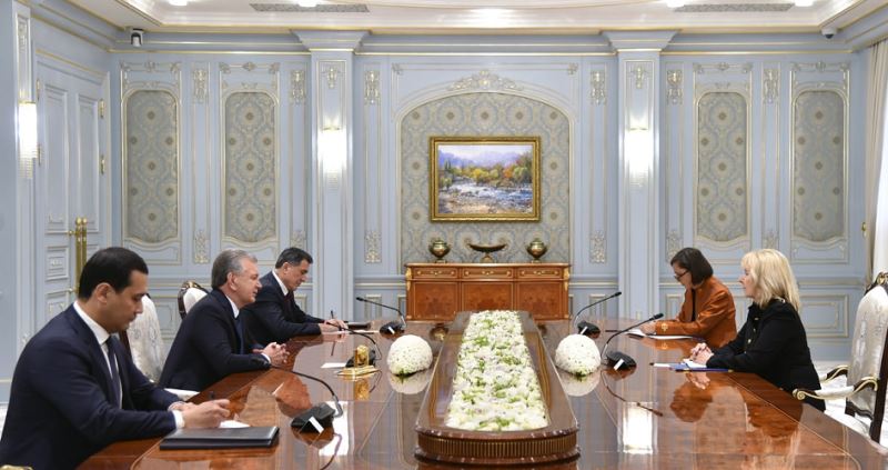 The President of Uzbekistan outlines priority areas for multifaceted cooperation with the EU