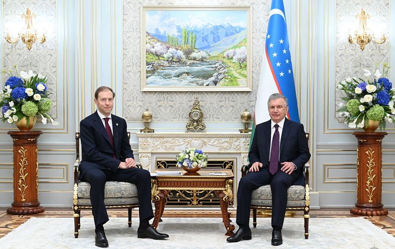 The President of Uzbekistan receives the Deputy Prime Minister of Russia