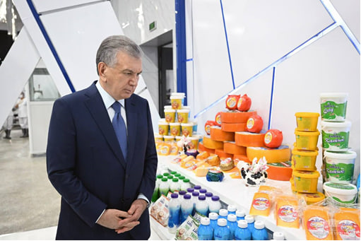 The President of Uzbekistan gets acquainted with the activities of an Agrocluster in Bukhara