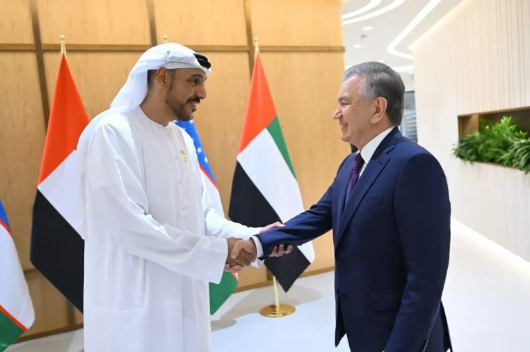 The President of Uzbekistan was presented with plans of an Emirati company to implement electricity production projects in our country based on the introduction of advanced technological solutions