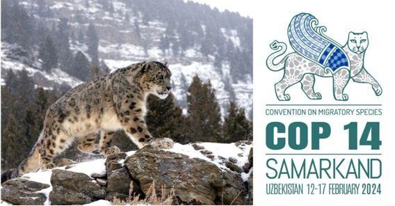 Samarkand to host the 14th Meeting of the Conference of the Parties to the Convention on the Conservation of Migratory Species of Wild Animals