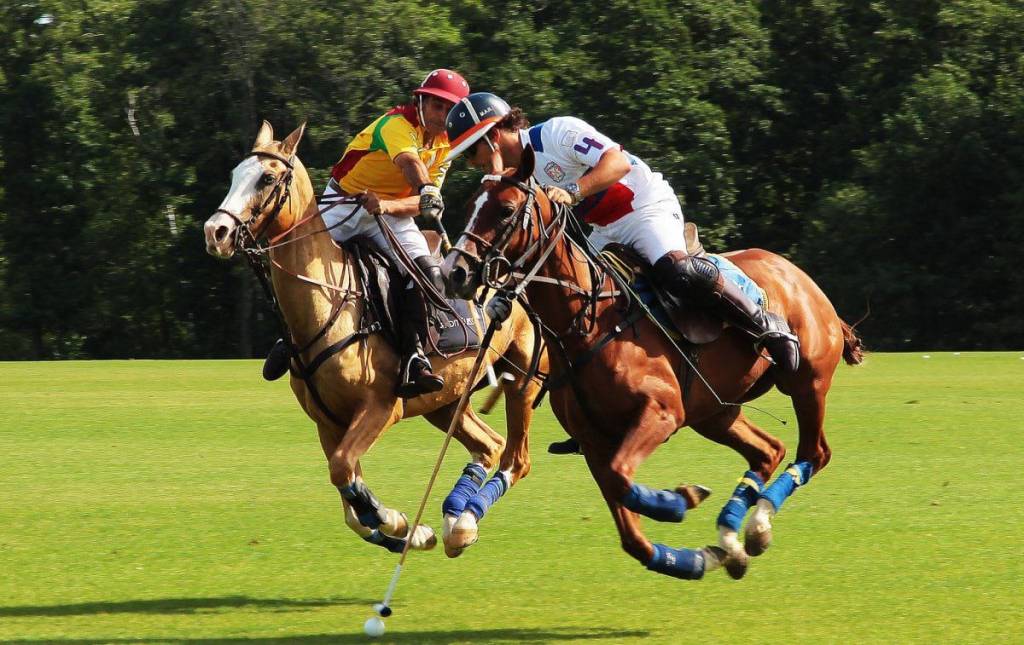 The new composition of the Executive Committee of Uzbekistan Polo Federation approved