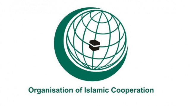 Deputy FM holds talks with OIC Assistant Secretary General