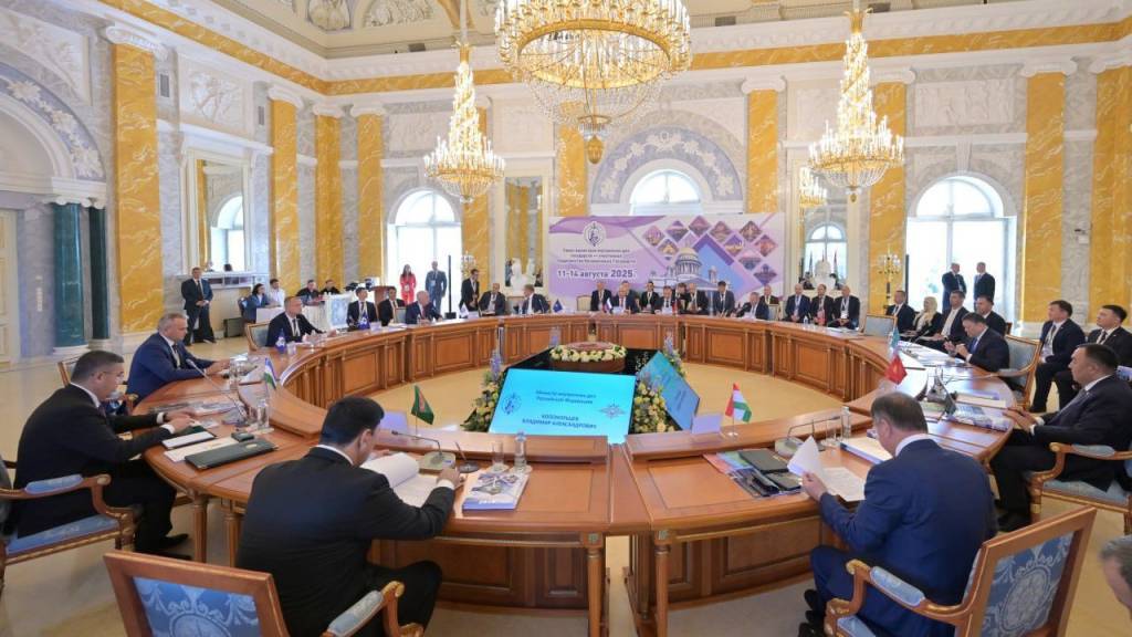 Crime combating on the territory of the CIS under discussion
