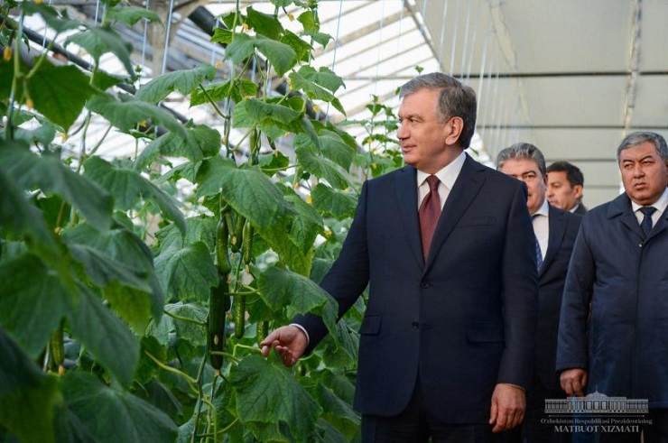 PRESIDENT ORDERS TO CREATE MORE EFFICIENT GREENHOUSES
