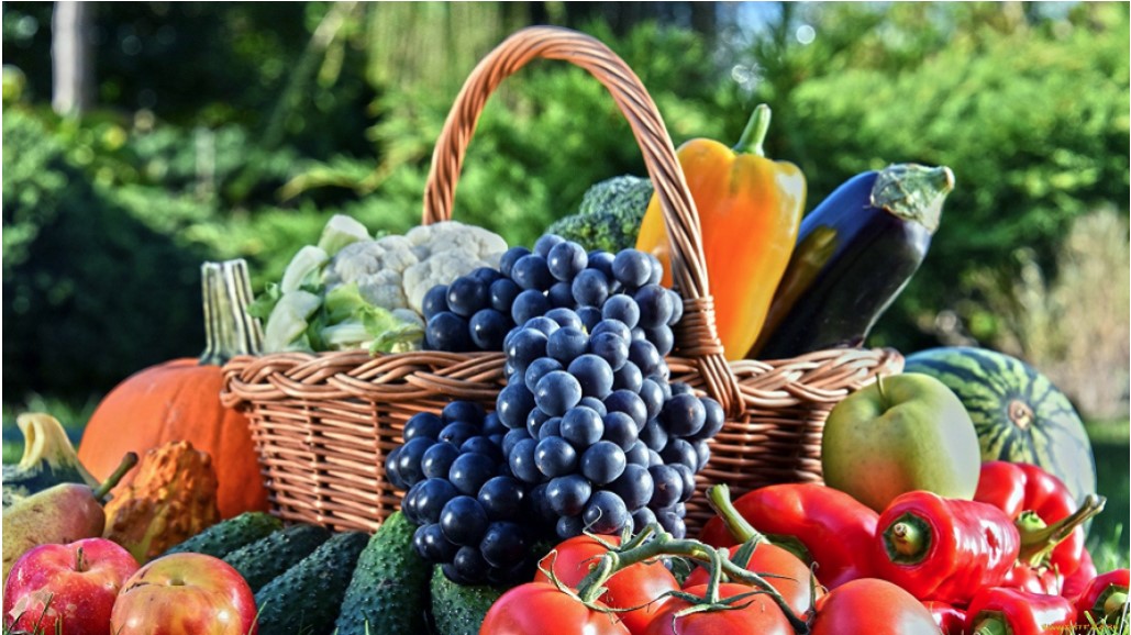 Uzbekistan exports over 800 thousand tons of fruits and vegetables