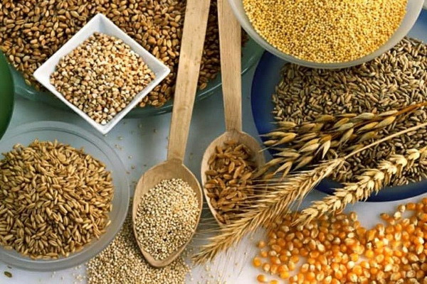 Uzbekistan produces 6.34 million tons of grain crops