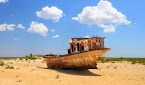 Президент қарори асосида «My garden in the Aral Sea» лойиҳаси амалга оширилади