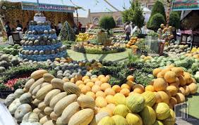 Uzbekistan exports over 52 thousand tons of melons to 17 countries