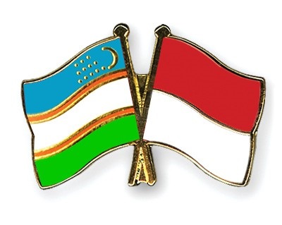 Uzbekistan, Indonesia discuss prospects for cooperation between parliamentarians