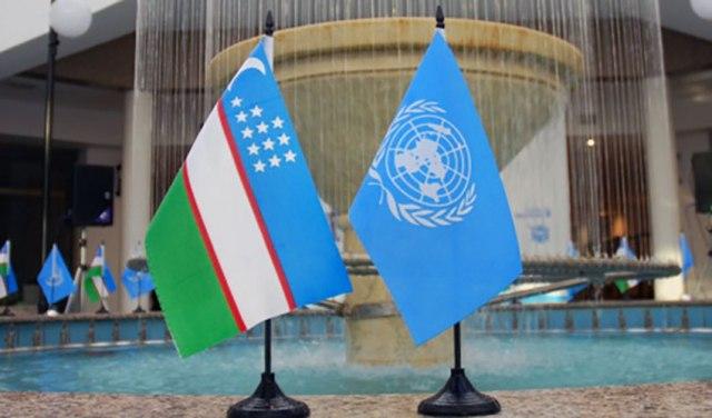 Meeting with UN Resident Coordinator in Uzbekistan