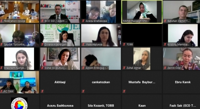 Videoconference of Business Women Council