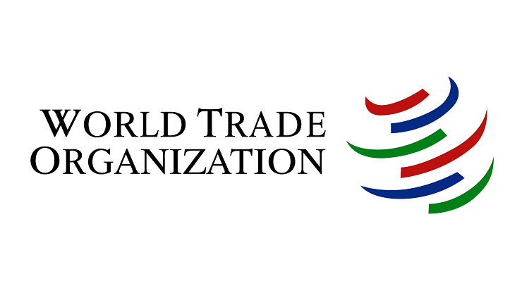 PERMANENT REPRESENTATIVE OF UZBEKISTAN MEETS WITH WTO DIRECTOR-GENERAL