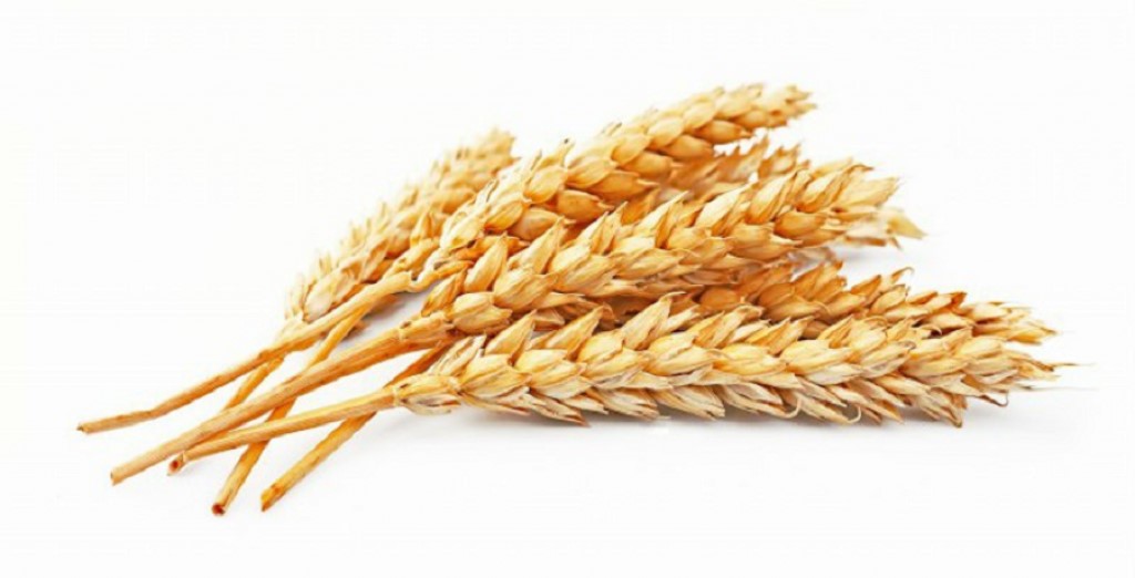 Uzbekistan imports .5 million worth of wheat flour in January 2022
