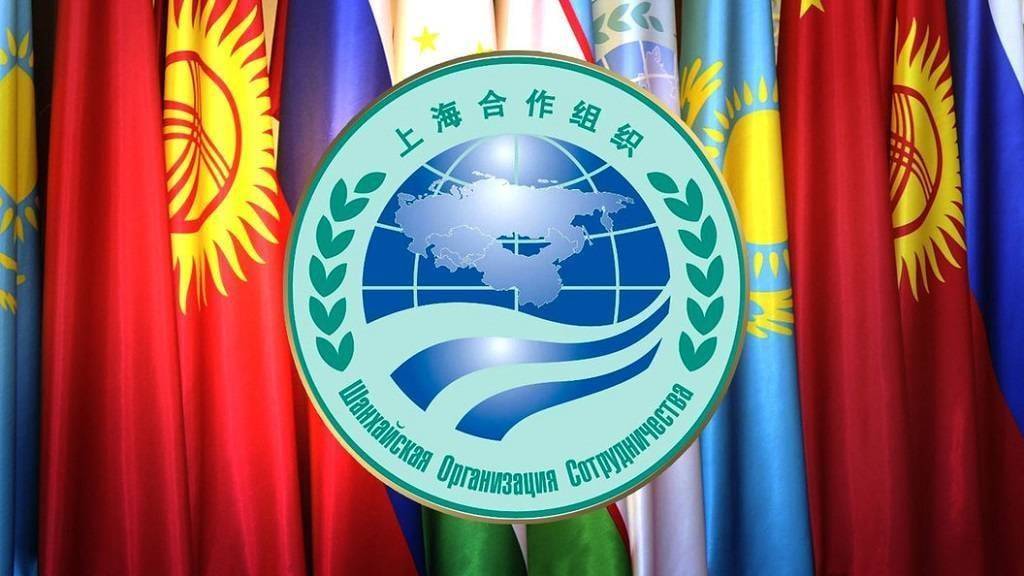 Guarantee of human rights in the field of information security: Important conditions for sustainable development in the SCO space